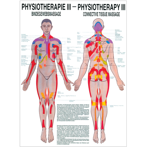 Öffne Lehrmittel Physiotherapie III - Bindegewebsmassagen