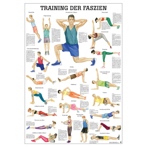 Öffne Mini-Poster "Training der Faszien", laminiert